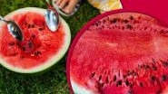 Food Poisoning in Mumbai: 4 Family Members Die After Eating Watermelon in Pydhonie