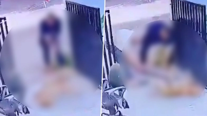 Animal Cruelty in Rajkot: Dog Beaten Mercilessly With Sticks in Gujarat, 2 Arrested After Disturbing Video Goes Viral