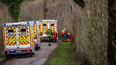 High Winds Topple Tree in Germany, Killing 3 on an Easter Hunt