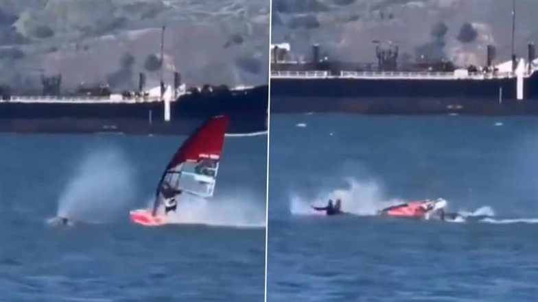 Viral Video Shows Windsurfer Colliding With Gray Whale in San Francisco Bay
