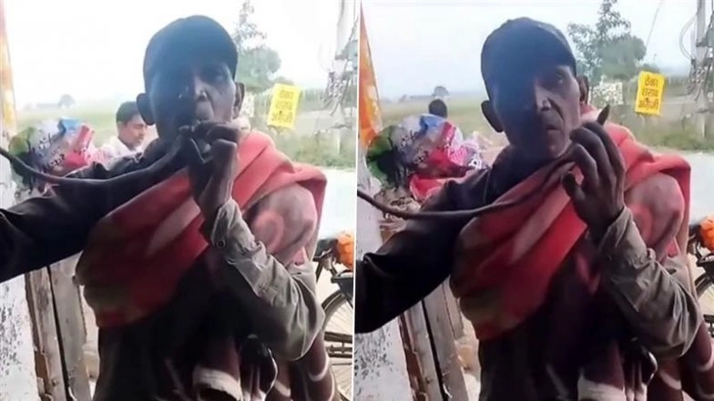 Man Puts Cobra’s Head in His Mouth, Dies After Bite in Shocking Viral Video from Haryana