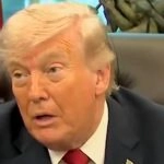 ‘We’re Going To Be Releasing Lot of Things’: Donald Trump Pledges Declassification of Secret UFO Files