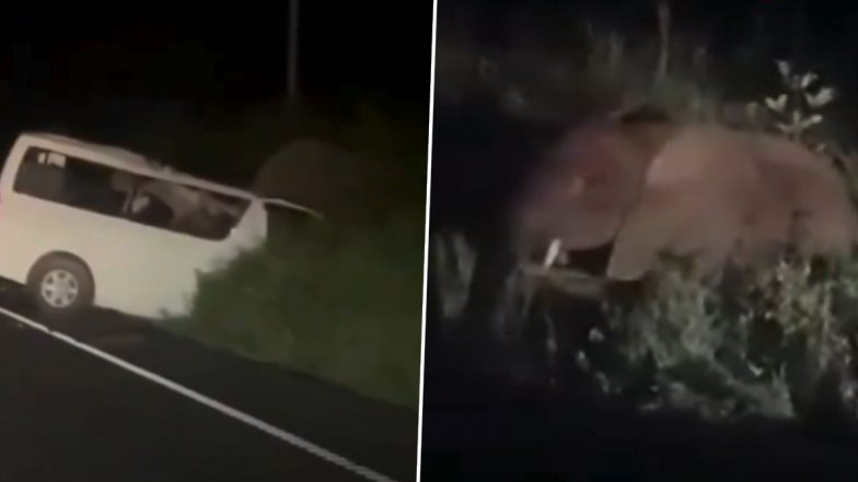 Ugandan: 3 Killed After Passenger Van Hits Elephant in Ugandan National Park (Watch Video)