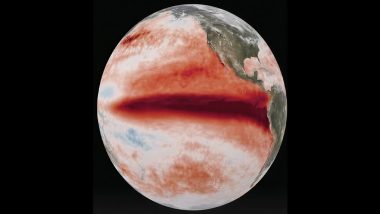 El Nino To Arrive During India Monsoon, Expected To Strengthen Till September: IMD Chief