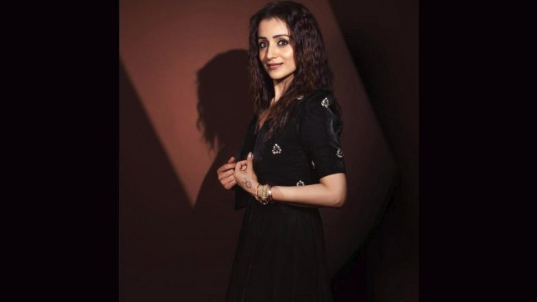 Trisha Krishnan Offered INR 12 Crore Remuneration by THIS Political Rival of Vijay for New Film? Here&rsquo;s What We Know
