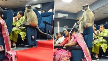 Monkey Crashes Census 2026 Workshop in Gujarat, Sits Beside Staffers; Video Goes Viral