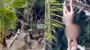 Phuket Beach Shocker: Female Tourist Strips Naked for Photoshoot at Kalim Beach, Leaves Locals Stunned