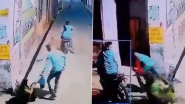 Etah Viral Video: Elderly Woman Fights Back Robbers Bravely in Uttar Pradesh, Refuses To Let Go of Her Purse