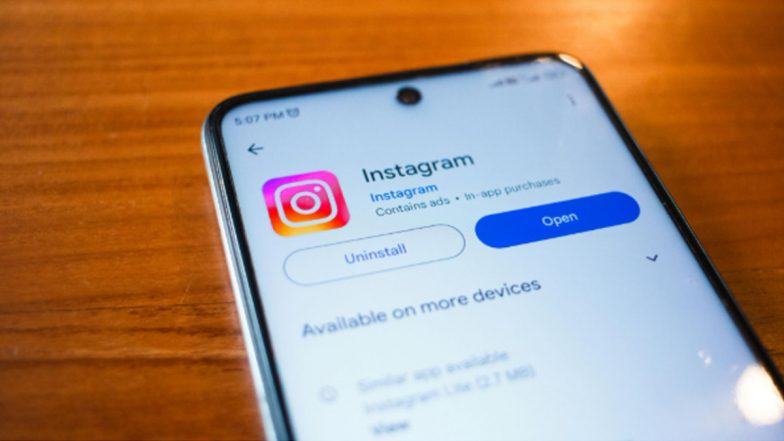 Download Instagram Videos on Your Phone, Here Is the Most Practical Way With Snapgram