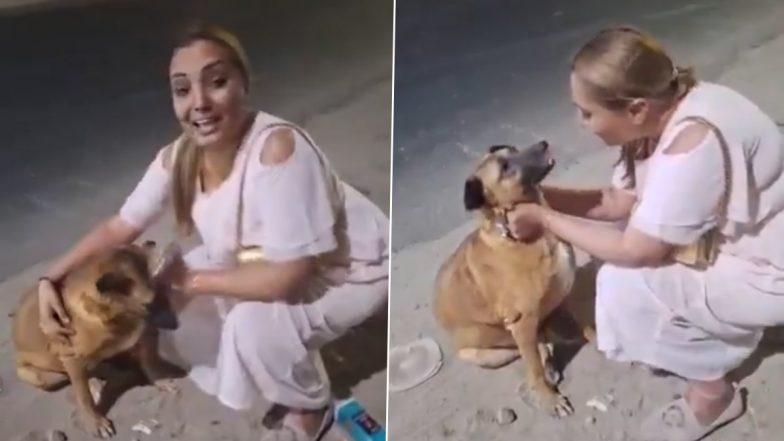 Kaddu Found Safe: Beloved Delhi Airport Dog Rescued in Dwarka After Months of Search