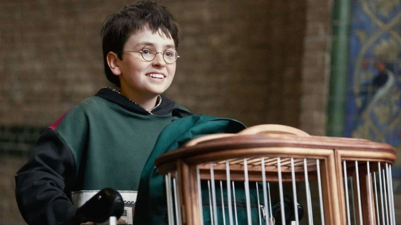 ‘Harry Potter’ Scores Early Season 2 Renewal, ‘Chamber of Secrets’ Adaptation Locked by HBO