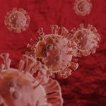 Hantavirus Outbreak Is Not Another COVID-19 Pandemic, Risk Remains Low: WHO