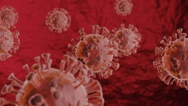 Hantavirus Outbreak on Cruise Ship: ICMR Says No Immediate Threat to India After 2 Indians Infected