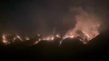 Himachal Pradesh Forest Fire: Kyarighat Village in Solan Engulfed; Large Plumes of Smoke Visible Across Hills (Videos)