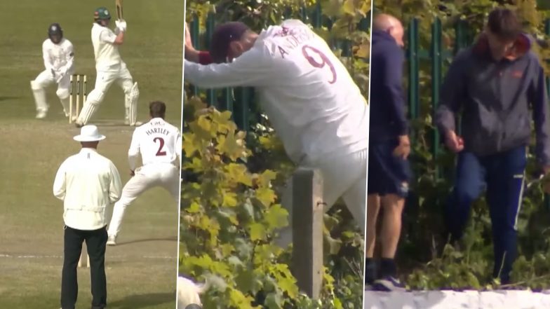 Viral Video Shows James Anderson Searching for Lost Ball in Bushes During County Championship