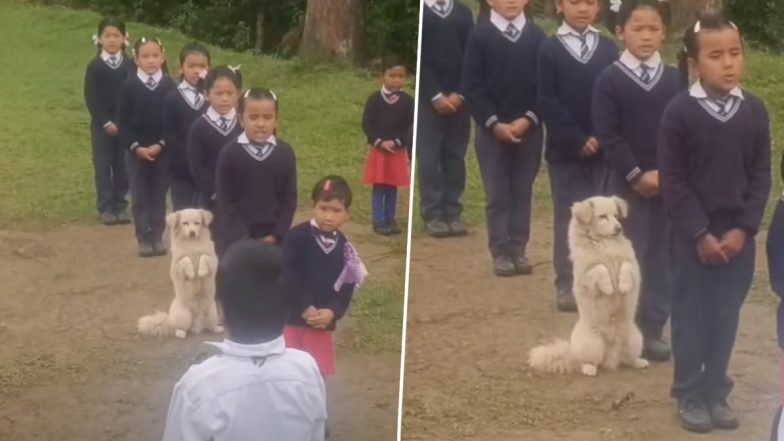 Stray Dog Viral Video: Heartwarming Moment As Canine Joins School Prayer in Sikkim