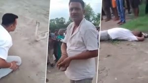 social-viral-Snake Catcher Dies of Snakebite on Camera, Viral Video Shows Man Lying Motionless