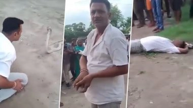 Snake Catcher Dies of Snakebite on Camera, Viral Video Shows Man Lying Motionless