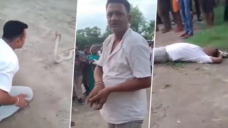 Snake Catcher Dies of Snakebite on Camera, Viral Video Shows Man Lying Motionless