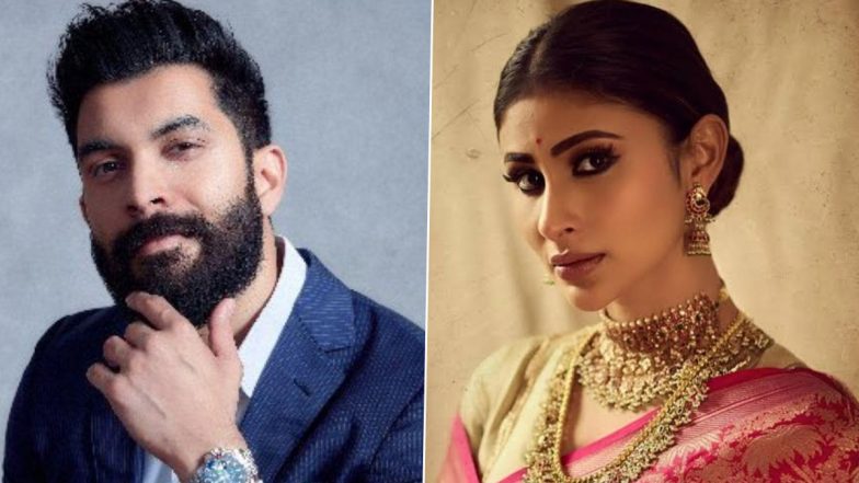 Suraj Nambiar Shares FIRST Post After Mouni Roy Separation Announcement, Dispels Infidelity and Alimony Rumours