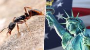 Invasive &lsquo;Deadly&rsquo; Chinese Ant Reaches 22 US States: The Elusive Asian Needle Ant&rsquo;s High-Stakes Expansion Across America