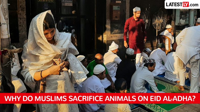 Bakrid 2026: Why Do Muslims Sacrifice Animals on Eid al-Adha? Rules of Qurbani Explained