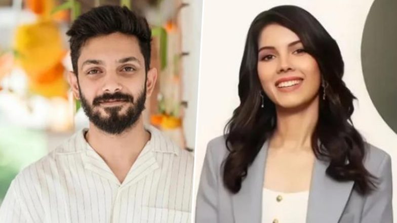 Anirudh Ravichander-Kavya Maran Wedding Rumours: Overseas Nuptials, Chennai Reception on the Cards?