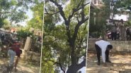 Bulandshahr Viral Video: Monkey Steals Lawyer&rsquo;s Bag Carrying INR 2 Lakh, Rains INR 500 Notes From Tree Outside Court