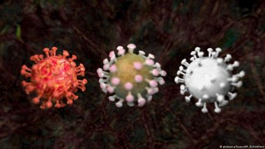 Endemic, Epidemic, Pandemic: What's the Difference?