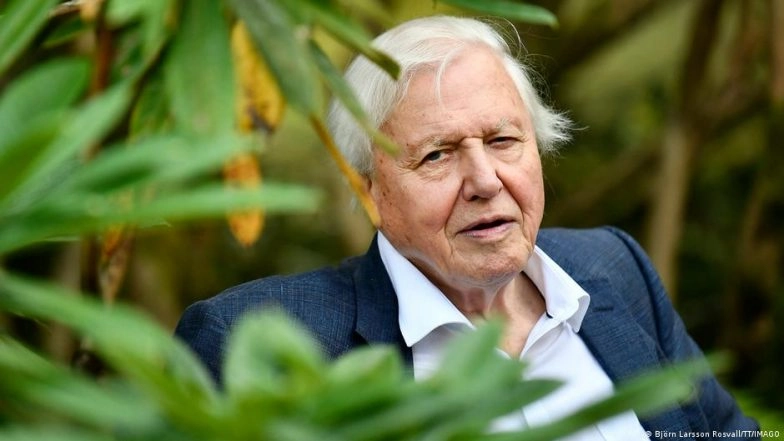 Celebrated Naturalist David Attenborough Turns 100