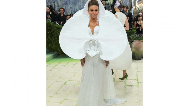 Entertainment News | Met Gala 2026: Natasha Poonawalla Embraces Art-inspired Fashion in Striking Floral Look