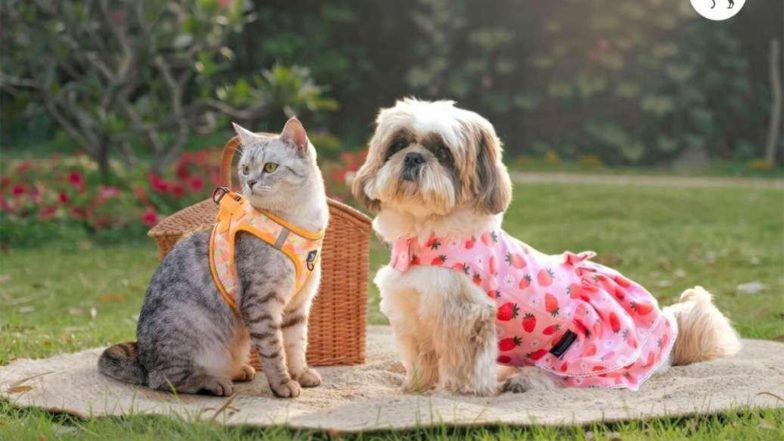 Business News | HUFT's New Summer '26 Collection Turns Everyday Moments into Little Tales of Joy