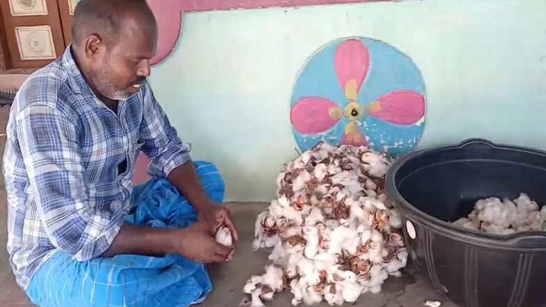 India News | Repatriated from Kuwait Amid West Asia Conflict, Tamil Nadu Man Struggles to Find Daily Wage Work