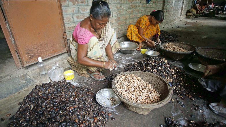 Business News | Women-led Nano and Micro Enterprises in Rural India Key Drivers of Inclusive Growth: Report