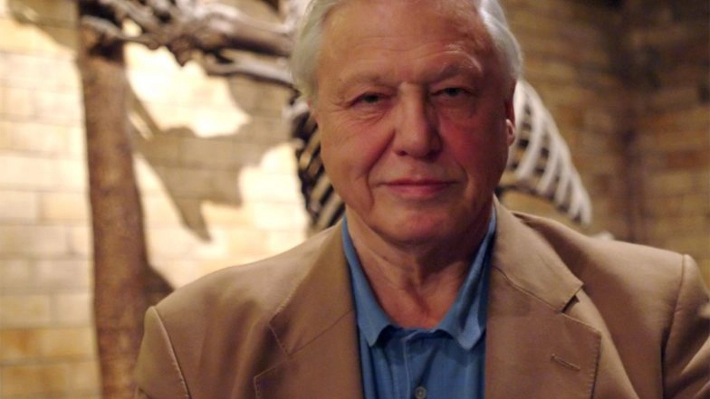 Entertainment News | David Attenborough Marks 100th Birthday with Tributes, New Species Named in His Honour