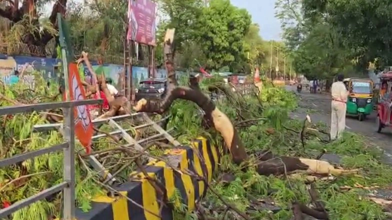 India News | 3 Dead, 5 Injured as Severe Storm Hits Patna