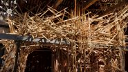 Entertainment News | From Earth to Bamboo: India Pavilion at La Biennale Di Venezia Spotlights Tribal Traditions and Sustainable Living