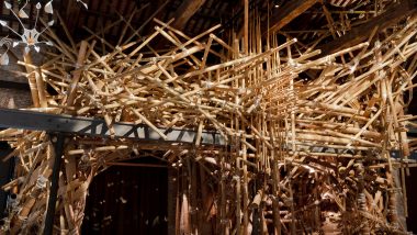 Entertainment News | From Earth to Bamboo: India Pavilion at La Biennale Di Venezia Spotlights Tribal Traditions and Sustainable Living