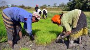 Business News | Govt Sets Target to Bring Additional 100 Lakh Hectares Under Micro-irrigation During 2025-30