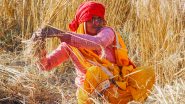 Business News | India Released Nearly 3,000 Climate-resilient Crop Varieties During 2014-25: Govt
