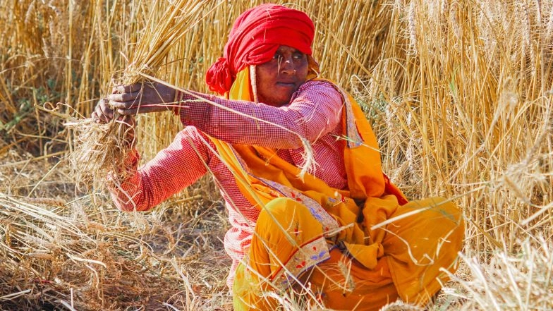 Business News | India Released Nearly 3,000 Climate-resilient Crop Varieties During 2014-25: Govt