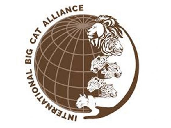 World News | Saudi Arabia Set to Join India-led International Big Cat Alliance as 26th Member