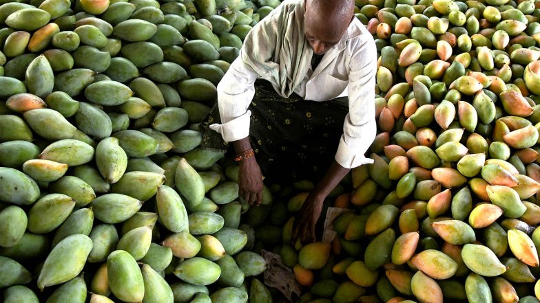 World News | Mango Diplomacy Blooms in Seattle: City Set to Relish India's Prized Kesar Mangoes as Summer Sunshine Arrives
