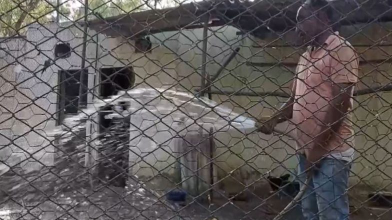 India News | Special Arrangements at Bathinda Zoo to Protect Wildlife from Rising Heat