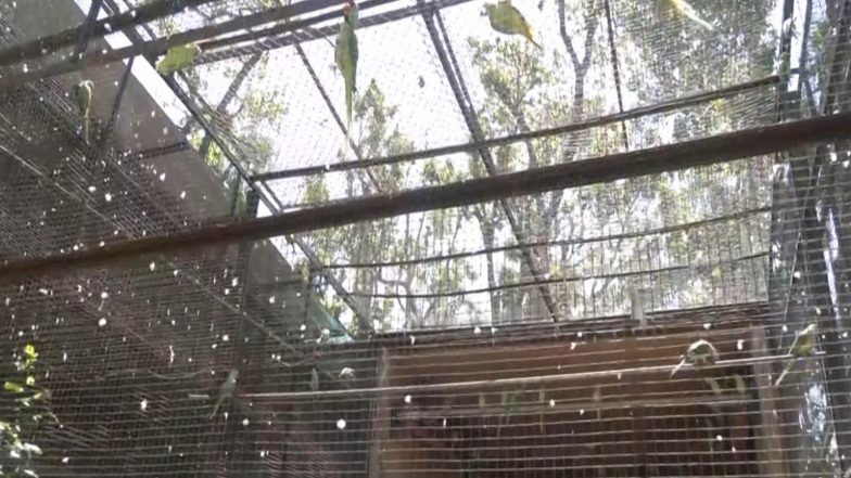 India News | Dehradun Zoo Steps Up Heatwave Protection Measures for Animals Amid Rising Temperatures