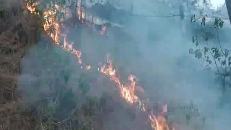 India News | Rajouri Forest Fires Rage Across Multiple Locations, Firefighting Operations Underway