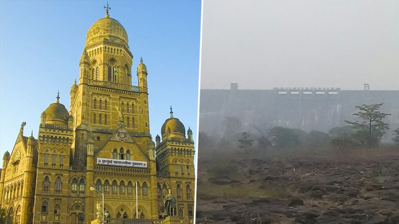 Mumbai Water Crisis: Lake Levels Plunge to 19% Despite City-Wide Water Cuts; Southwest Monsoon To Arrive in Mumbai on June 10