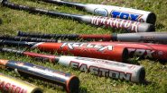 Dhaval Amratbhai Patel Case: Indian-Origin Man Living Illegally in US Assaults Man With Baseball Bat After Argument; Arrested