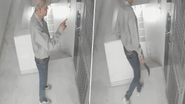 Delhi: Man Posing As Water Purifier Mechanic Targets Residents in National Capital by Trying To Break Into Houses; CCTV Footage of Suspect Surfaces