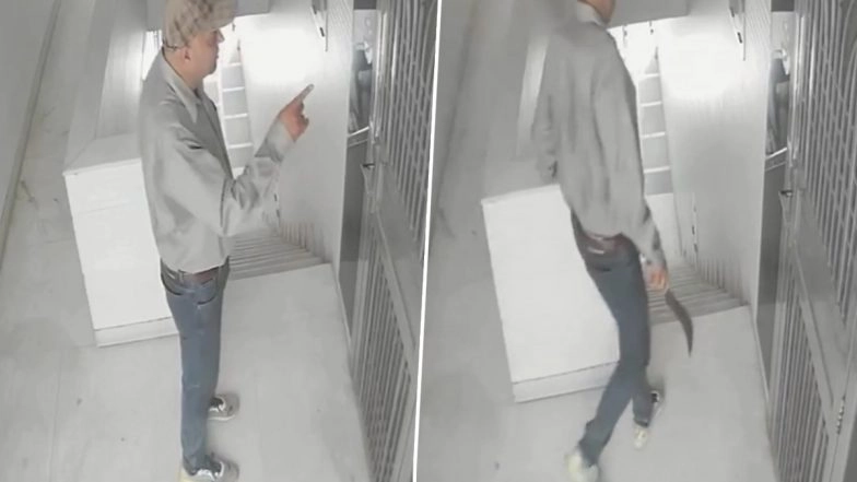 Delhi: Man Posing As Water Purifier Mechanic Targets Residents in National Capital by Trying To Break Into Houses; CCTV Footage of Suspect Surfaces